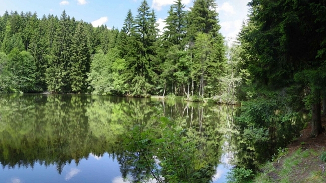 Jednání o novém zákoně o NP Šumava končí, návrh zákona míří do legislativního procesu