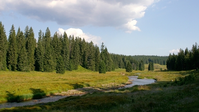Lanovka jako dopravní prostředek je pro mne přijatelná