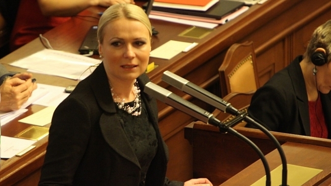 Vystoupení poslankyně Jany Černochové k vládnímu zákonu o střelných zbraních a střelivu