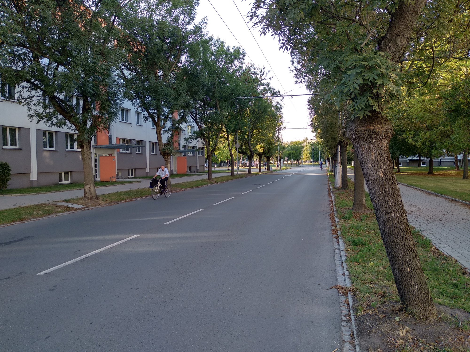 Program blokové revitalizace městské zeleně a mobiliáře.