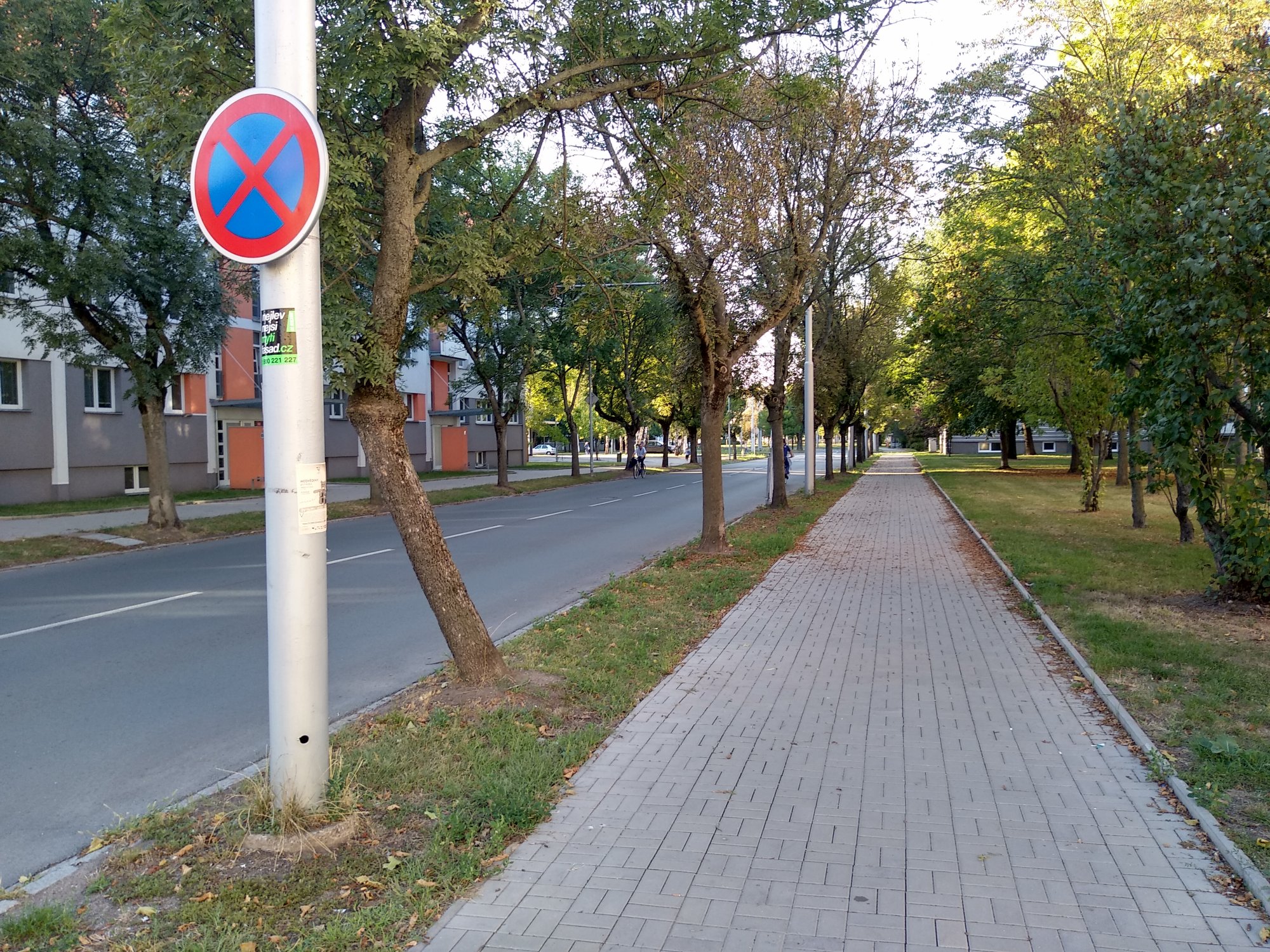 Opravy chodníků v Hradci Králové. Jak na to?