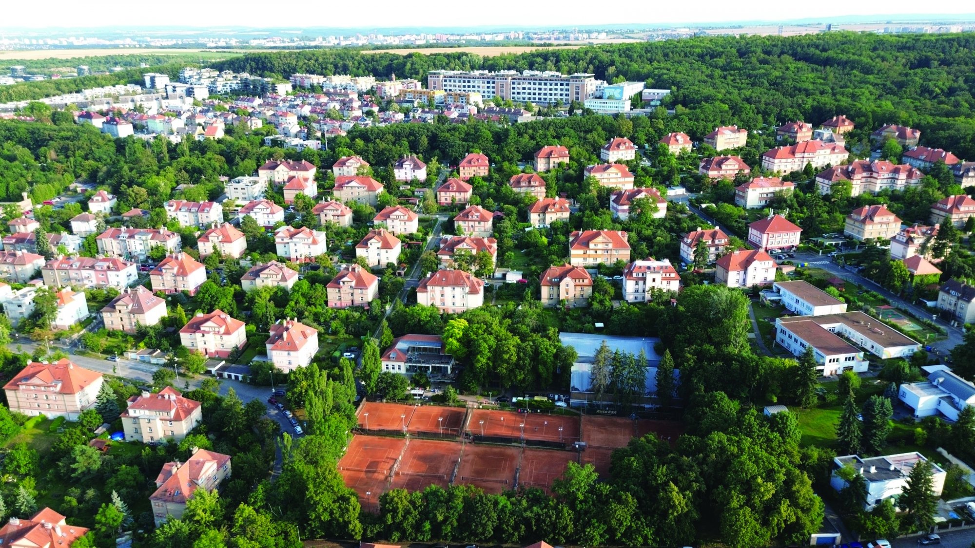 Cibulky si musí zachovat svůj charakter i pro budoucí generace