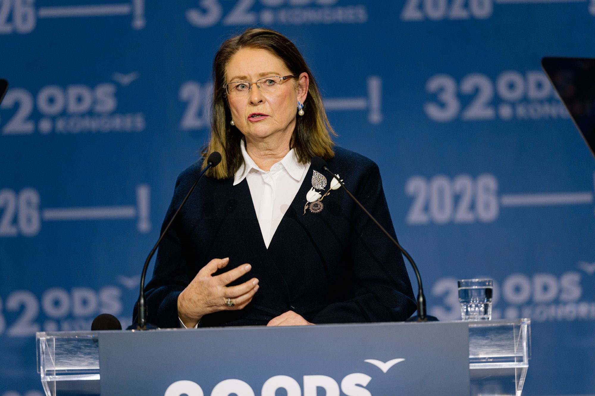 Vystoupení Miroslavy Němcové v rámci politické diskuse