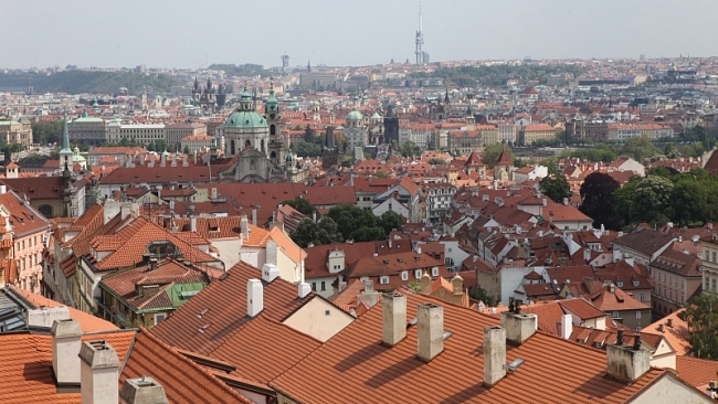První výsledky léčby už jsou vidět