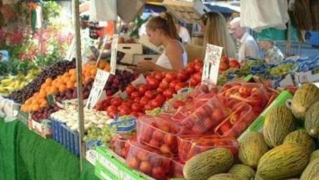 Zemědělci by se měli naučit surfovat