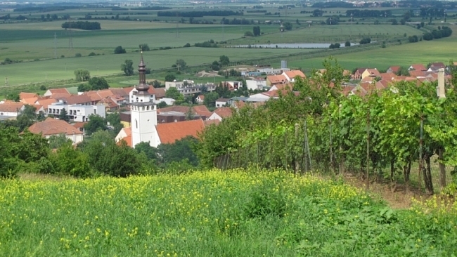 Vítejte na webu ODS Brno-venkov