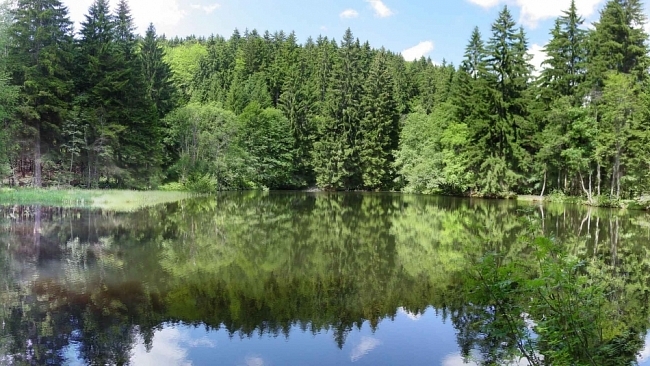 Vláda schválila ministerský návrh zákona o Národním parku Šumava


