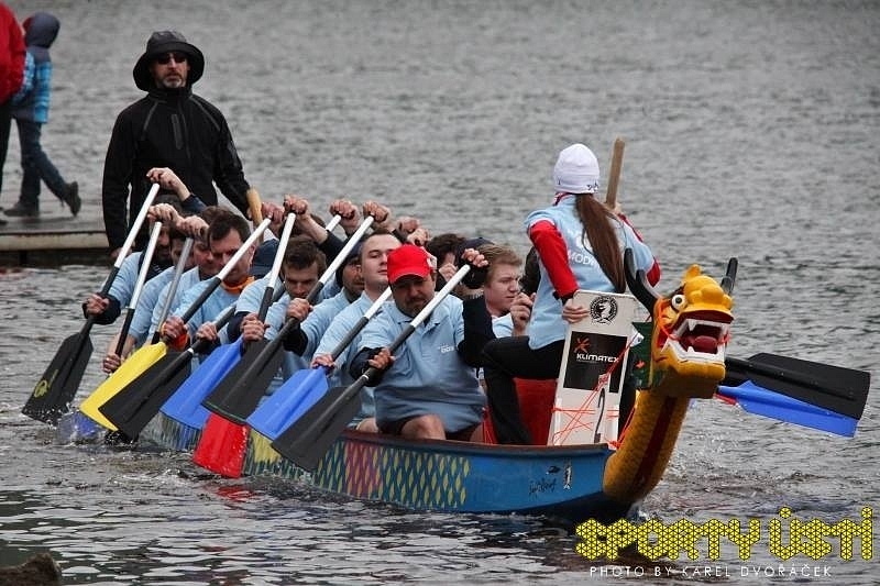 Modří ptáci rozráželi vlny Labe