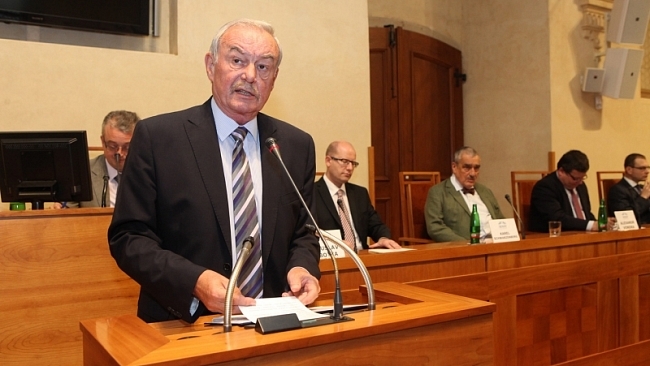 Demokracie se bez politických stran neobejde