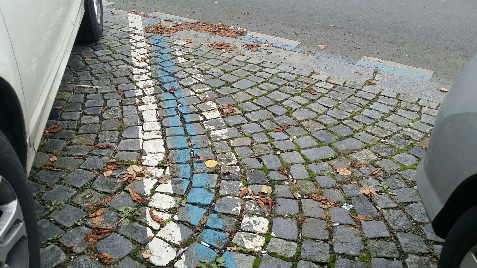 Modrá je dobrá, ale ne v podobě modrých parkovacích zón
