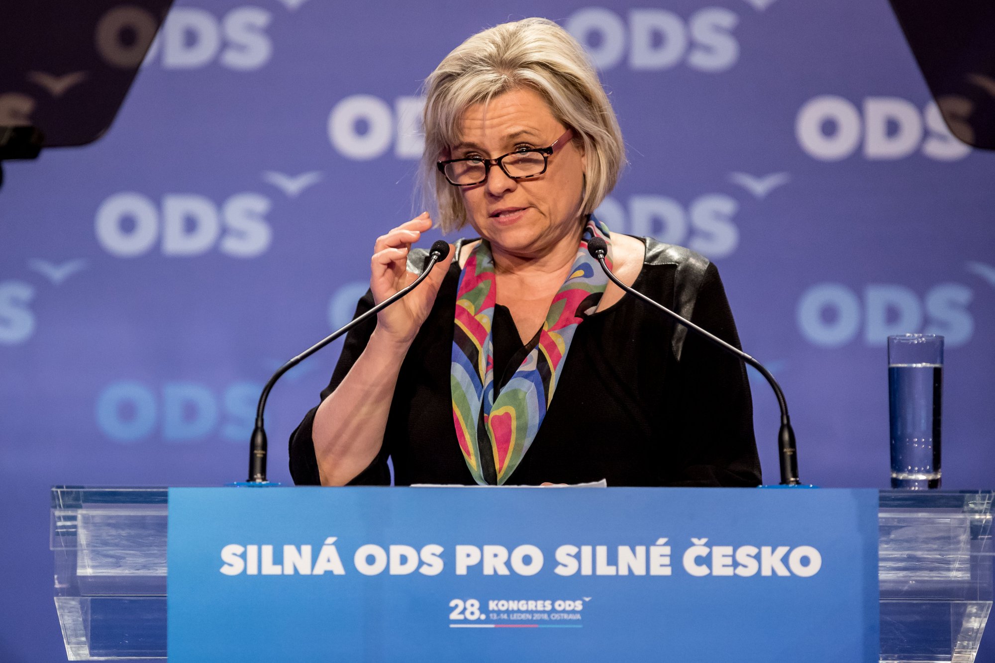 Projev v rámci politické diskuse 28. kongresu ODS