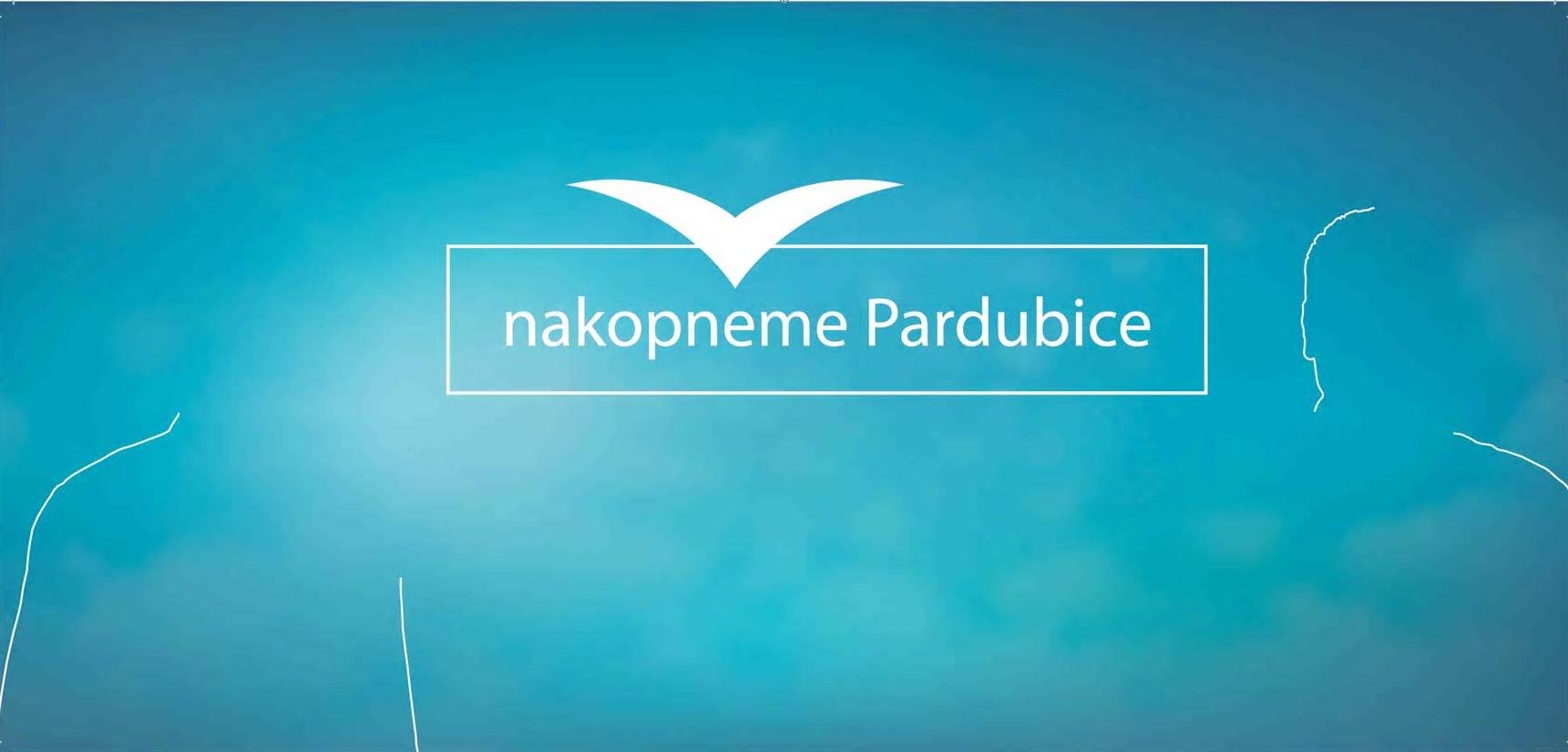 Informace pardubické ODS před podzimními komunálními a senátními volbami