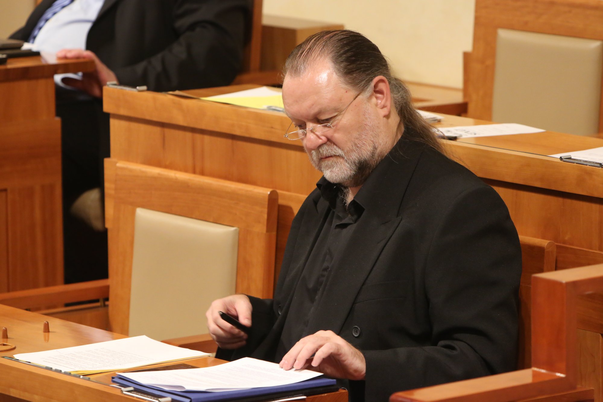 Plzeň v Senátu