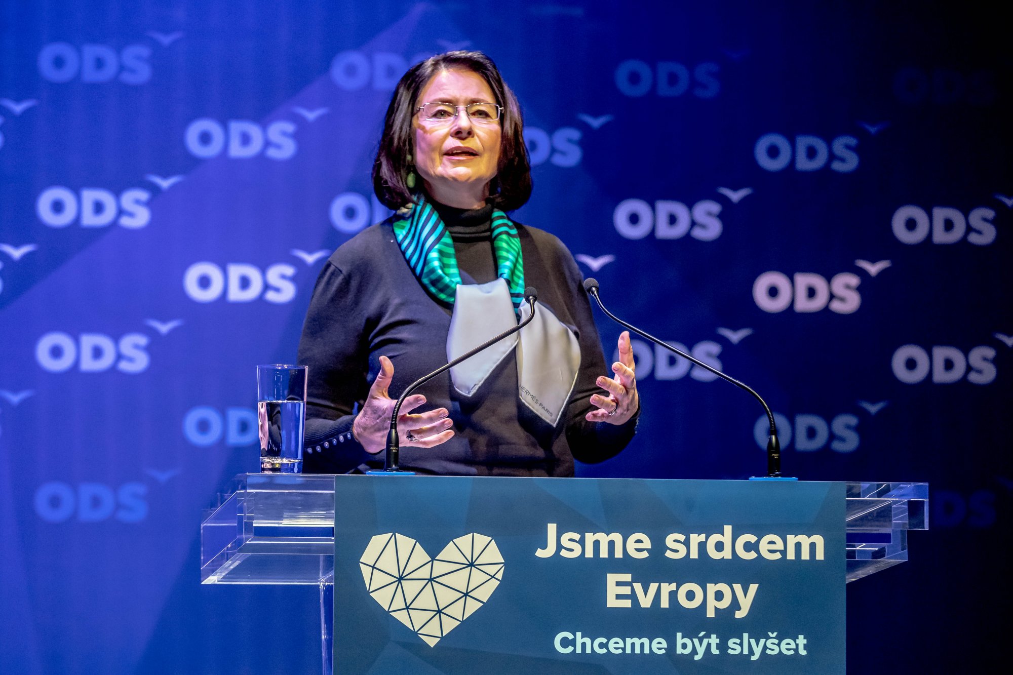 Vystoupení na Programové konferenci