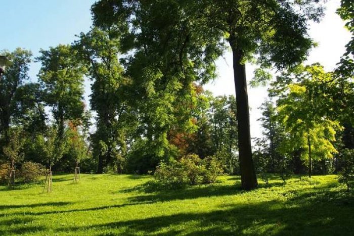 Město nutně potřebuje jasnou strategii pro adaptaci na změnu klimatických podmínek