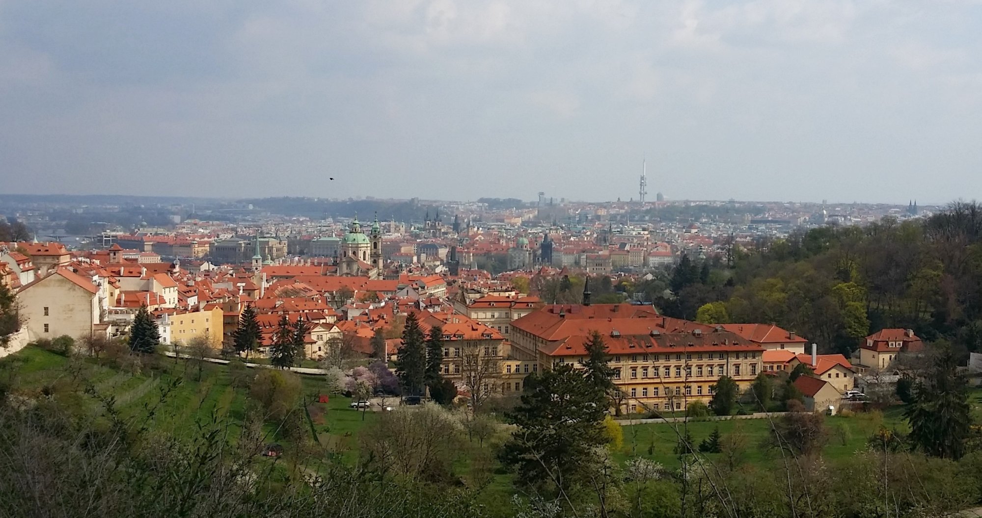 ODS Praha: Bydlení v Praze se nesmí dál prodražovat, odmítáme zvýšení poplatků za odpad