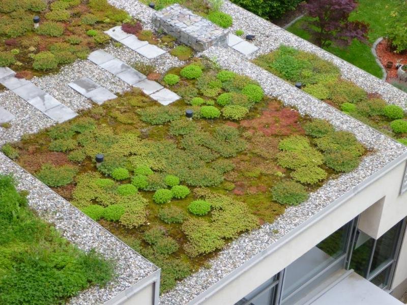 Další důležité kroky k zeleným střechám v Pardubicích