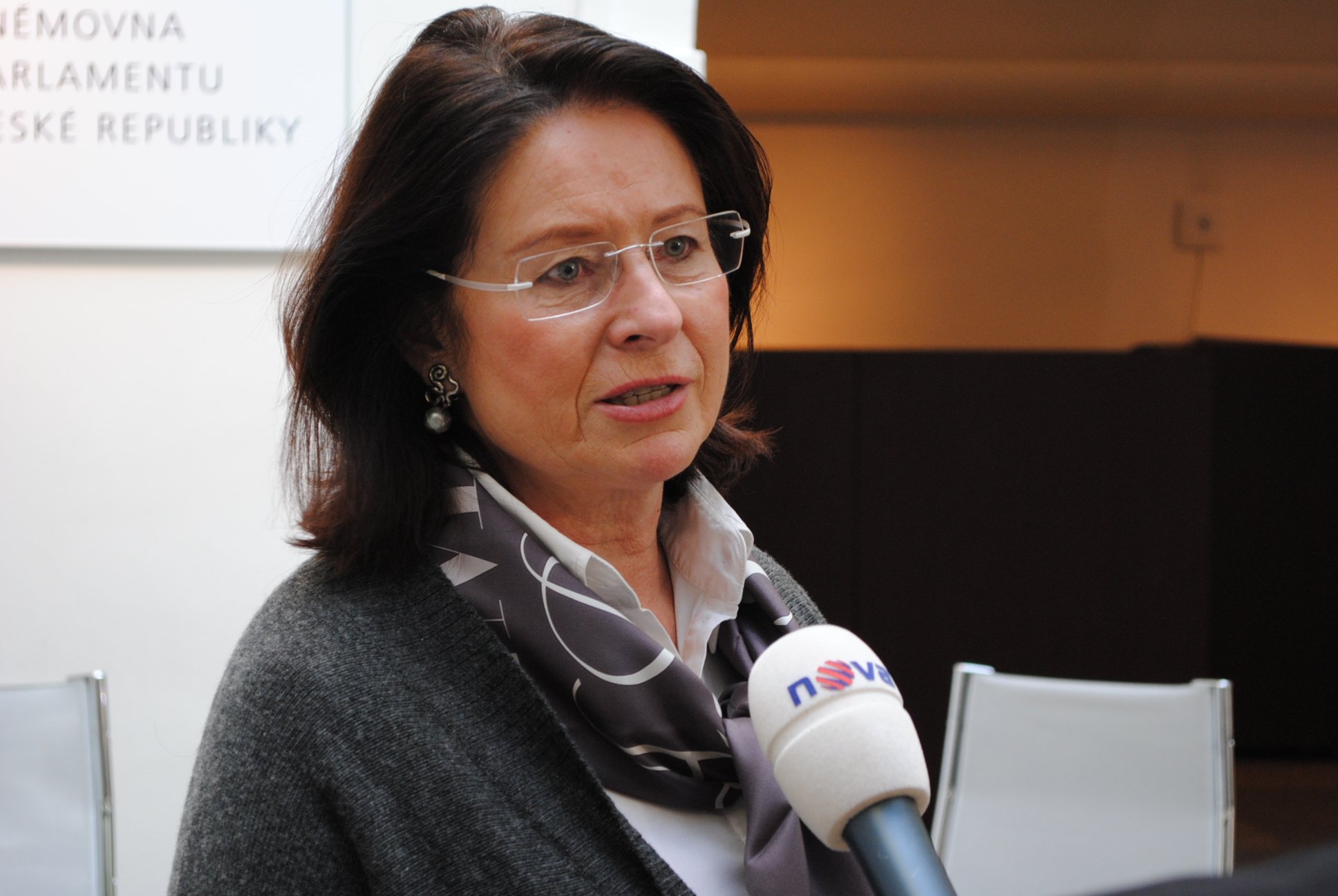 Miroslava Němcová: Pomatenci, vlastizrádci a udavači