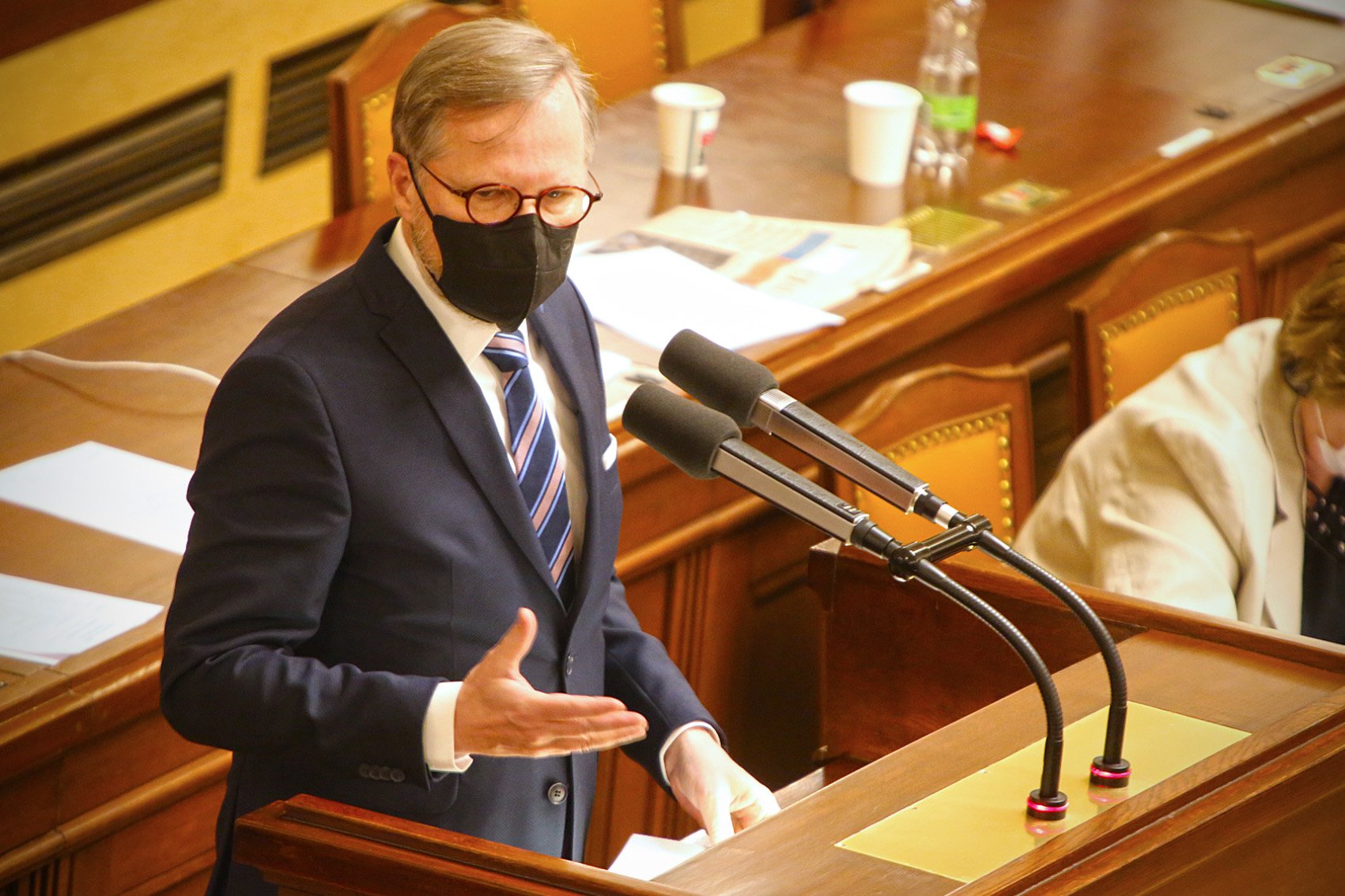 Projev v Poslanecké sněmovně k aktuální situaci na Ukrajině