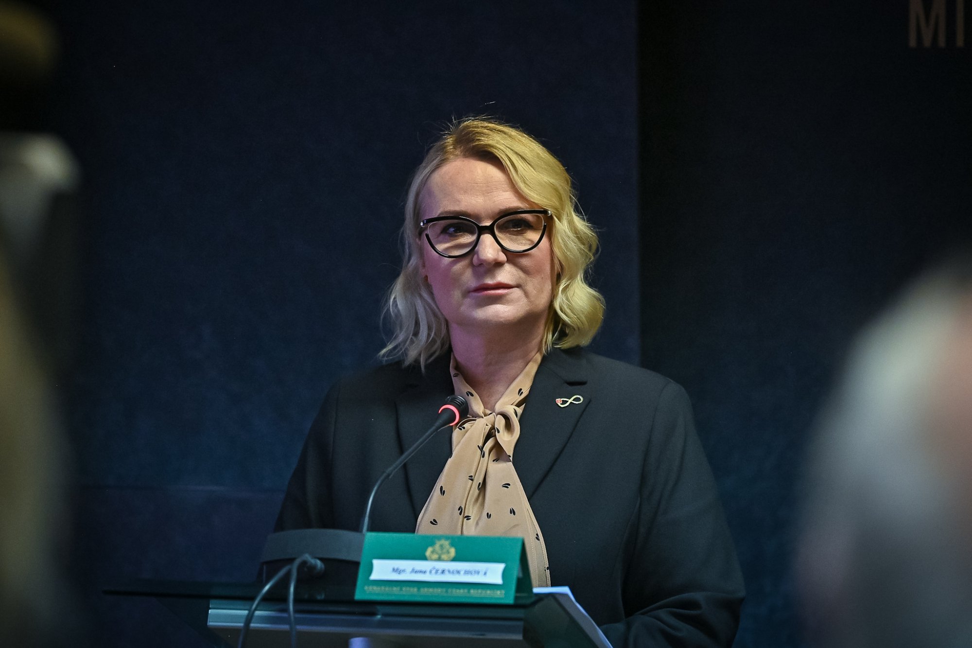 „Svět se na nás dívá: Vaše slova o vojácích budete brát špatně zpátky, nepoužívejte je prosím v kampani,“ reaguje Jana Černochová na billboardy se sloganem Babiše, jenž parazituje na strachu lidí