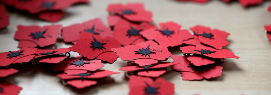 Začíná kampaň Vlčí mák České republiky pro válečné veterány 2025