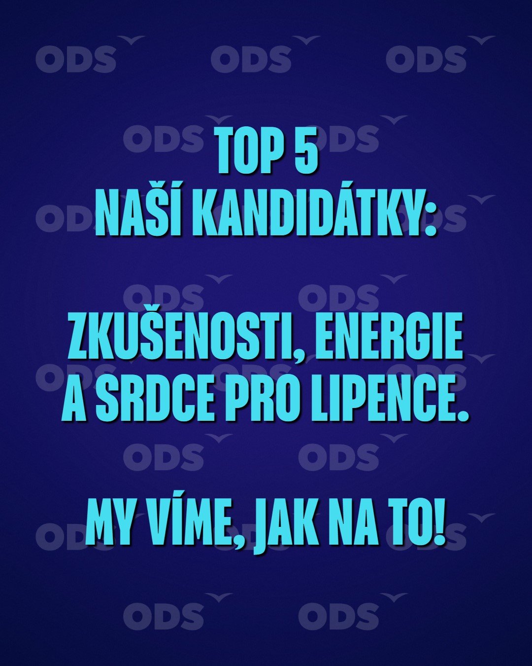 Brzy Vám představíme TOP 5 naší kandidátky: zkušenosti, energie a srdce pro Lipence