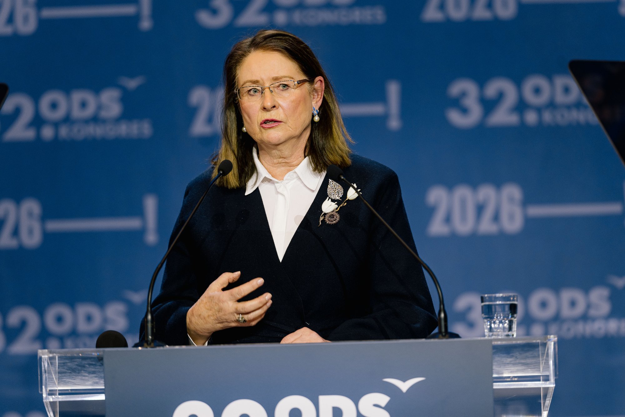 ČRo: Omezit pravomoci prezidenta? Je to protiústavní, říká Miroslava Němcová
